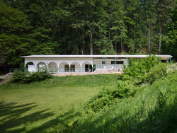 Forest Pool