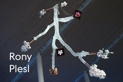 Rony Plesl