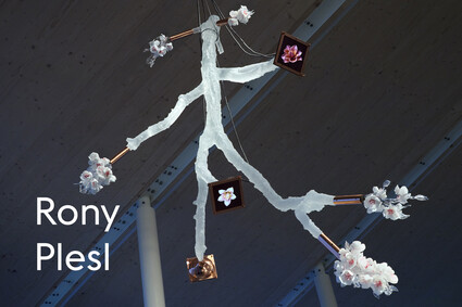 Rony Plesl