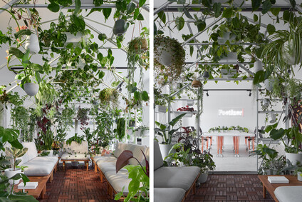 Poetizer kanceláře