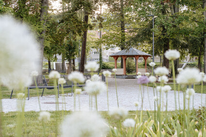 Revitalizace Štěpánčina parku