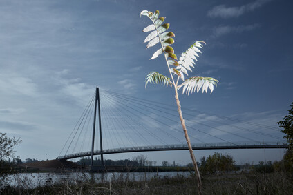 Lávka přes Vltavu v Lužci nad Vltavou