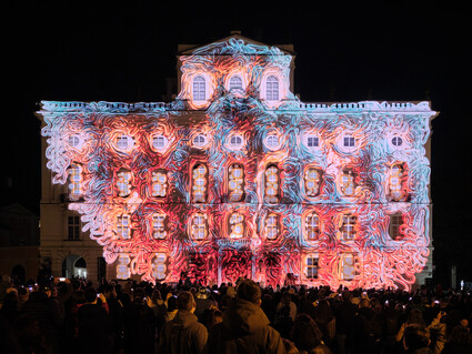 Signal Festival 2024